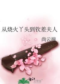 从烧火丫头到钦差夫人